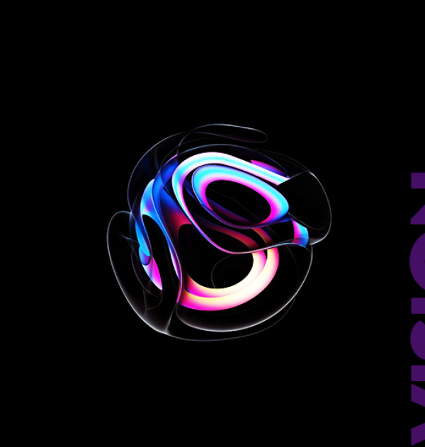 vision